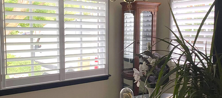 Custom Blinds
